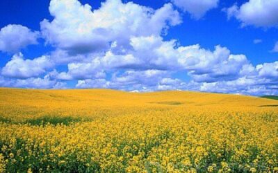 У воскресінні України можемо збагнути значення та ціну тих жертв, які сьогодні кладуть на вівтар Батьківщини найкращі сини й дочки