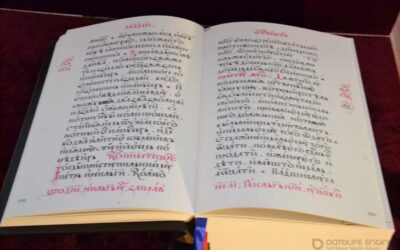 Проповідь о. Олега Шепетяка 10.07.2016 р.Б.